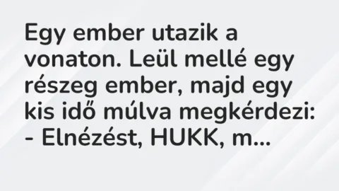 Vicc: Egy ember utazik a vonaton. Leül mellé egy részeg ember, majd egy kis idő múlva…