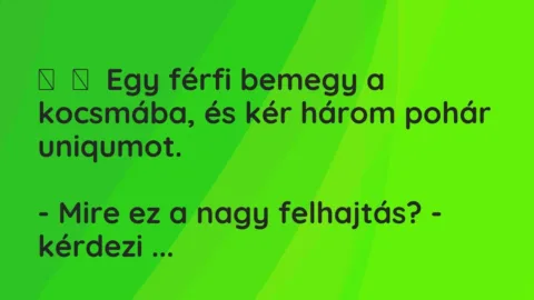 Vicc: 
	    	    Egy férfi bemegy a kocsmába, és kér három pohár uniqumot.


-…