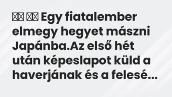 Vicc: Egy fiatalember elmegy hegyet mászni Japánba.Az első…