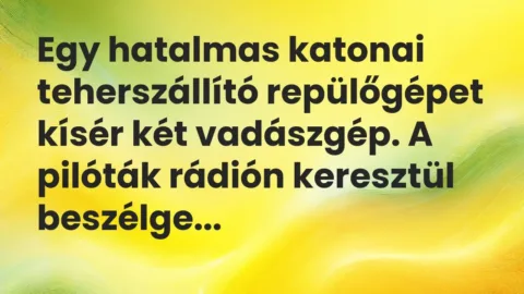 Vicc: Egy hatalmas katonai teherszállító repülőgépet kísér két vadászgép. A pilóták…