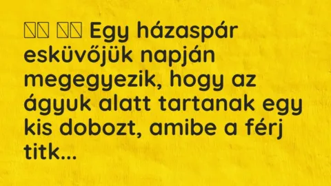 Vicc: 
		  
		  Egy házaspár esküvőjük napján megegyezik, hogy az ágyuk…