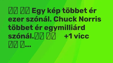 Vicc: 
		  
		  Egy kép többet ér ezer szónál. Chuck Norris többet ér…