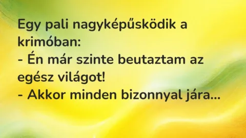 Vicc: Egy pali nagyképűsködik a krimóban:

– Én már szinte beutaztam az egész…
