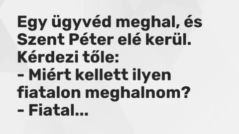 Vicc: Egy ügyvéd meghal, és Szent Péter elé kerül. Kérdezi tőle:

– Miért kellett…