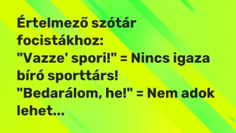 Vicc: Értelmező szótár focistákhoz:

„Vazze’ spori!” = Nincs igaza bíró…