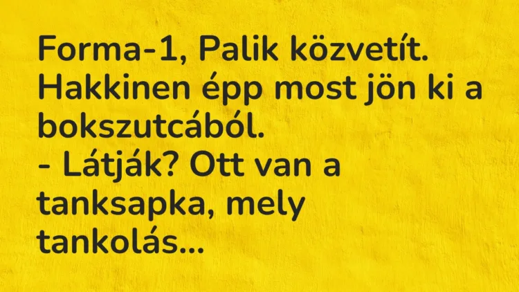 Vicc: Forma-1, Palik közvetít. Hakkinen épp most jön ki a bokszutcából. – Látják?…