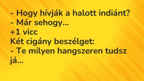 Vicc: – Hogy hívják a halott indiánt?

– Már sehogy…