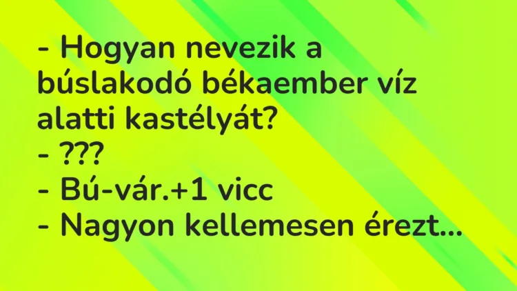 Vicc: – Hogyan nevezik a búslakodó békaember víz alatti kastélyát?
– ???
-… Vicc: – Hogyan nevezik a búslakodó békaember víz alatti kastélyát?
– ???
-…