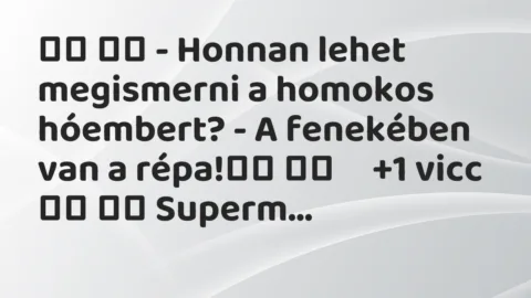 Vicc: 
		  
		  – Honnan lehet megismerni a homokos hóembert? – A fenekében…