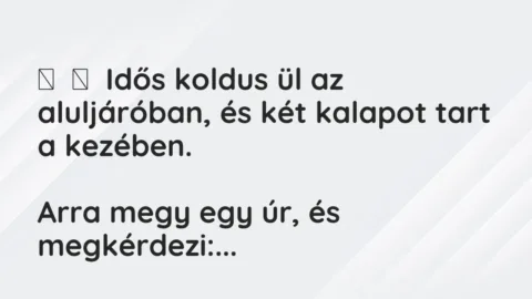 Vicc: 
	    	    Idős koldus ül az aluljáróban, és két kalapot tart a…