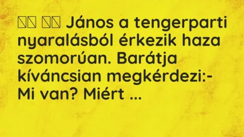 Vicc: 
		  
		  János a tengerparti nyaralásból érkezik haza szomorúan….