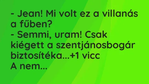 Vicc: – Jean! Mi volt ez a villanás a fűben?

– Semmi, uram! Csak kiégett a…
