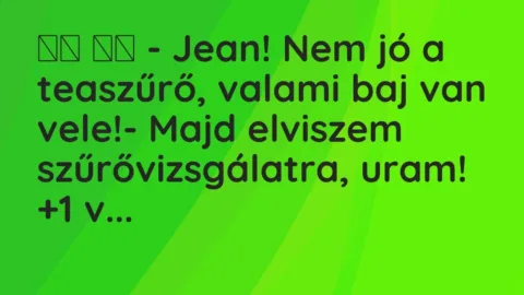 Vicc: 
		  
		  – Jean! Nem jó a teaszűrő, valami baj van vele!- Majd…