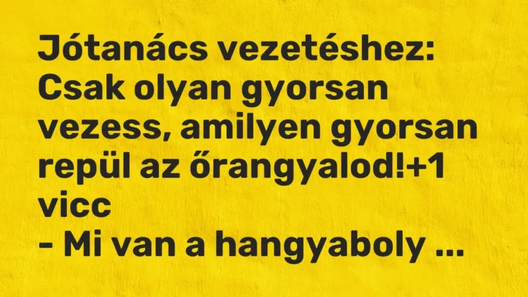 Vicc: Jótanács vezetéshez:
Csak olyan gyorsan vezess, amilyen gyorsan repül az… Vicc: Jótanács vezetéshez:
Csak olyan gyorsan vezess, amilyen gyorsan repül az…