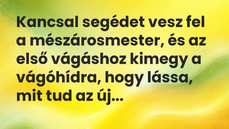 Vicc: Kancsal segédet vesz fel a mészárosmester, és az első vágáshoz kimegy a… Vicc: Kancsal segédet vesz fel a mészárosmester, és az első vágáshoz kimegy a…