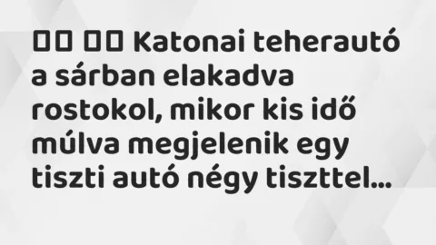 Vicc: 
		  
		  Katonai teherautó a sárban elakadva rostokol, mikor kis idő…