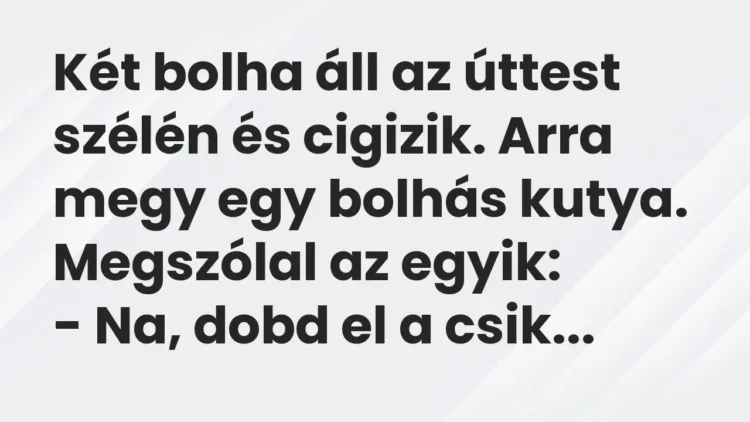 Vicc: Két bolha áll az úttest szélén és cigizik. Arra megy egy bolhás kutya. Megszólal… Vicc: Két bolha áll az úttest szélén és cigizik. Arra megy egy bolhás kutya. Megszólal…