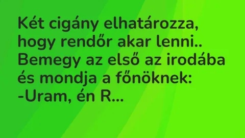Vicc: Két cigány elhatározza, hogy rendőr akar lenni..

Bemegy az első az irodába…