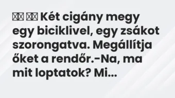 Vicc: Két cigány megy egy biciklivel, egy zsákot szorongatva….