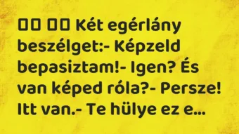 Vicc: Két egérlány beszélget:- Képzeld bepasiztam!- Igen?…