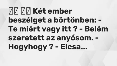Vicc: 
		  
		  Két ember beszélget a börtönben: – Te miért vagy itt ? -…