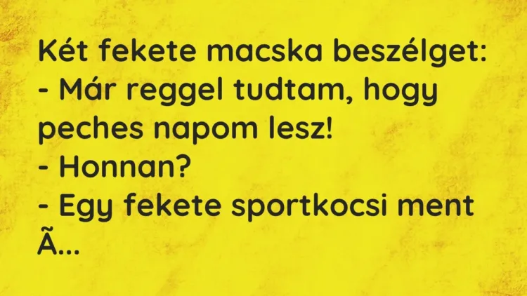 Vicc: Két fekete macska beszélget:
– Már reggel tudtam, hogy peches napom… Vicc: Két fekete macska beszélget:
– Már reggel tudtam, hogy peches napom…