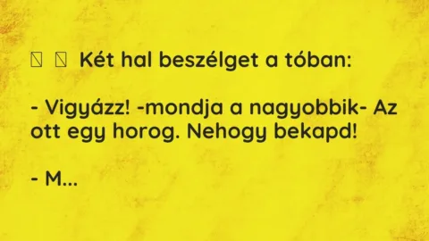 Vicc: 
	    	    Két hal beszélget a tóban:


– Vigyázz! -mondja a nagyobbik- Az …