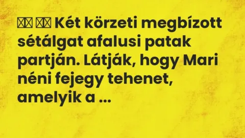 Vicc: 
		  
		  Két körzeti megbízott sétálgat afalusi patak partján….