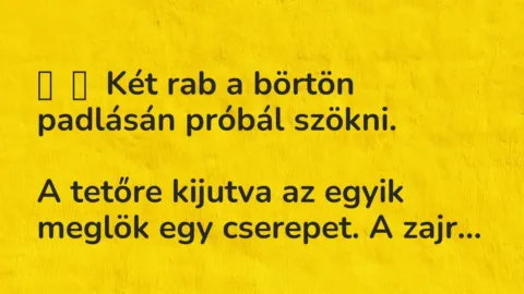 Vicc: 
	    	    Két rab a börtön padlásán próbál szökni.


A tetőre kijutva az…