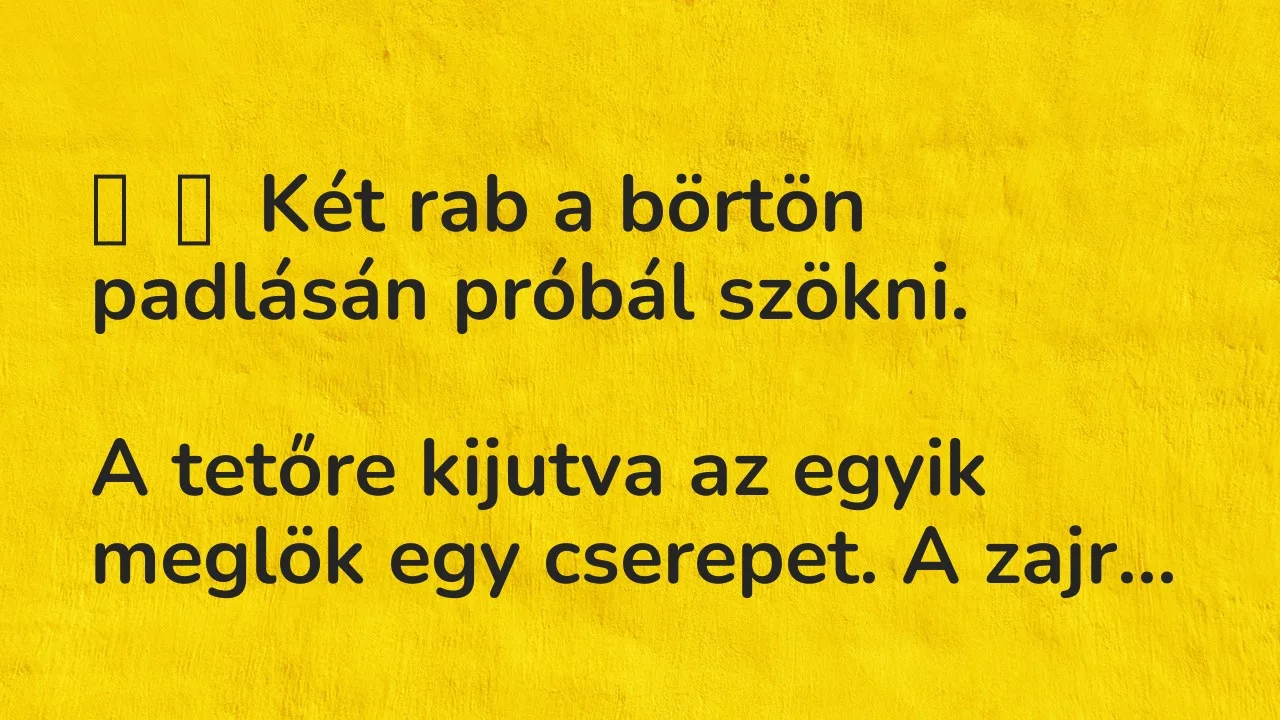 Vicc: 
	    	    Két rab a börtön padlásán próbál szökni.


A tetőre kijutva az…