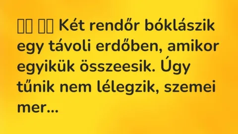 Vicc: 
		  
		  Két rendőr bóklászik egy távoli erdőben, amikor egyikük…