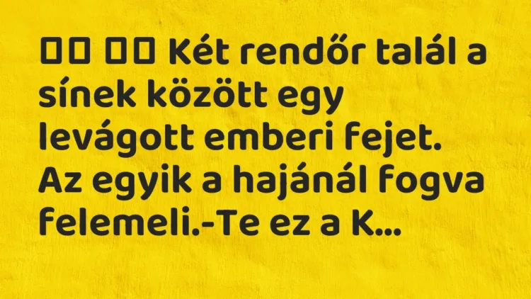Vicc:
Két rendőr talál a sínek között egy levágott emberi fejet. … Vicc:
Két rendőr talál a sínek között egy levágott emberi fejet. …