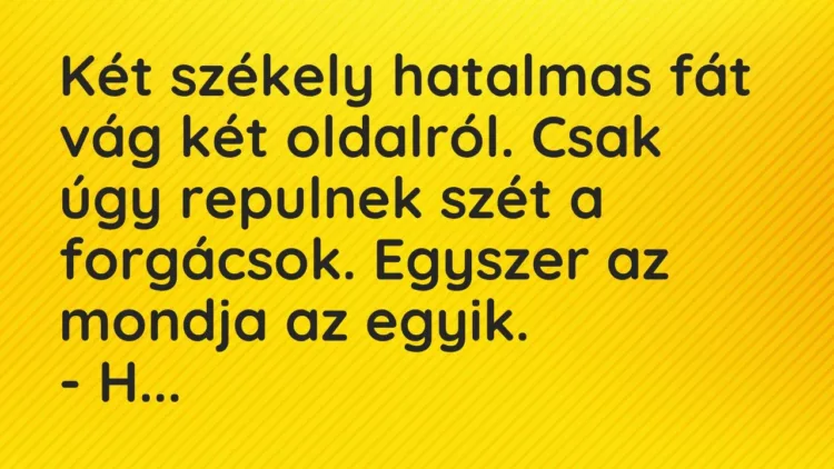 Vicc: Két székely hatalmas fát vág két oldalról. Csak úgy repulnek szét a forgácsok…. Vicc: Két székely hatalmas fát vág két oldalról. Csak úgy repulnek szét a forgácsok….