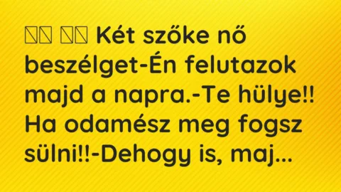 Vicc: 
		  
		  Két szőke nő beszélget-Én felutazok majd a…