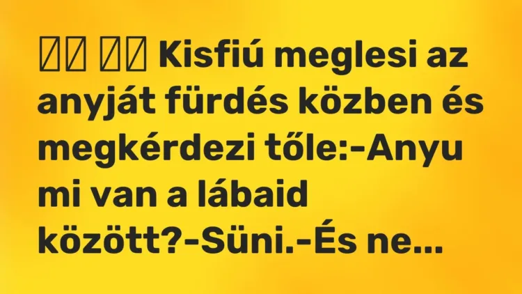 Vicc:
Kisfiú meglesi az anyját fürdés közben és megkérdezi… Vicc:
Kisfiú meglesi az anyját fürdés közben és megkérdezi…