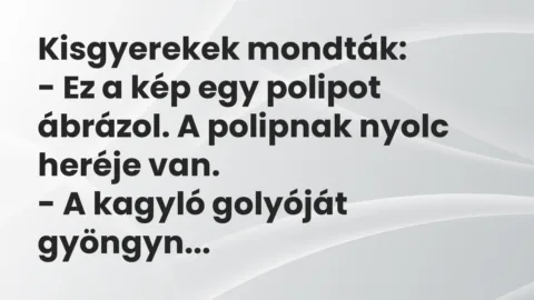 Vicc: Kisgyerekek mondták:

– Ez a kép egy polipot ábrázol. A polipnak nyolc…