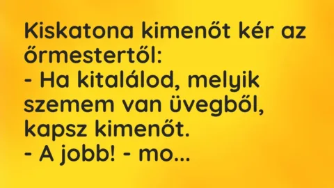 Vicc: Kiskatona kimenőt kér az őrmestertől:

– Ha kitalálod, melyik szemem van…
