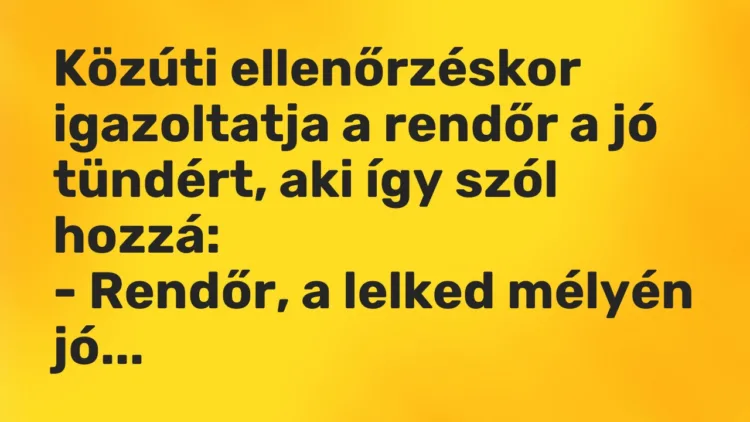 Vicc: Közúti ellenőrzéskor igazoltatja a rendőr a jó tündért, aki így szól…