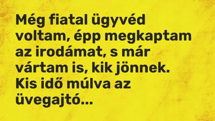 Vicc: Még fiatal ügyvéd voltam, épp megkaptam az irodámat, s már vártam is, kik… Vicc: Még fiatal ügyvéd voltam, épp megkaptam az irodámat, s már vártam is, kik…