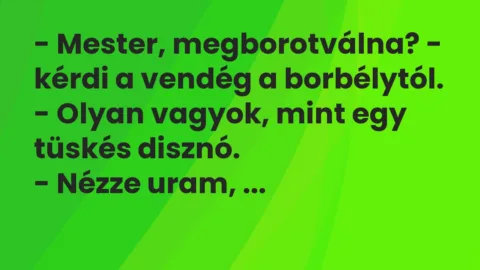 Vicc: – Mester, megborotválna? – kérdi a vendég a borbélytól. – Olyan vagyok, mint egy…