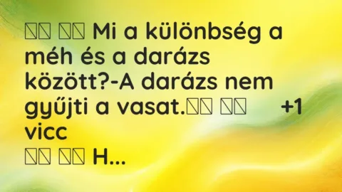 Vicc: 
		  
		  Mi a különbség a méh és a darázs között?-A darázs nem…