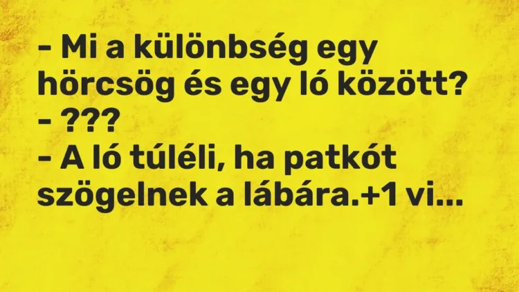 Vicc: – Mi a különbség egy hörcsög és egy ló között?
– ???
– A ló túléli, ha… Vicc: – Mi a különbség egy hörcsög és egy ló között?
– ???
– A ló túléli, ha…