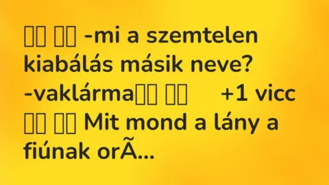 Vicc: 
		  
		  -mi a szemtelen kiabálás másik neve? -vaklárma		 …