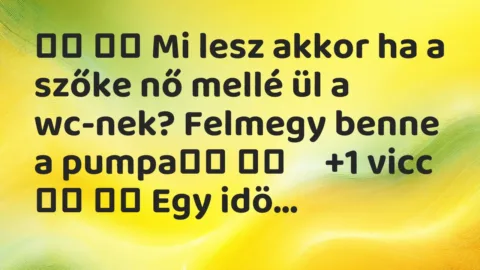 Vicc: 
		  
		  Mi lesz akkor ha a szőke nő mellé ül a wc-nek? Felmegy…