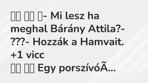 Vicc: 
		  
		  ‎- Mi lesz ha meghal Bárány Attila?- ???- Hozzák a …