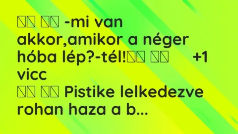 Vicc: 
		  
		  -mi van akkor,amikor a néger hóba lép?-tél!		 …