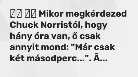 Vicc: 
		  
		  Mikor megkérdezed Chuck Norristól, hogy hány óra van, ő…