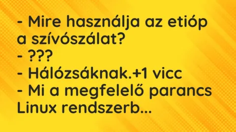 Vicc: – Mire használja az etióp a szívószálat?

– ???

– Hálózsáknak.
