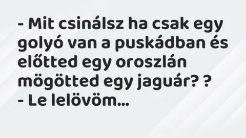Vicc: – Mit csinálsz ha csak egy golyó van a puskádban és előtted egy oroszlán…