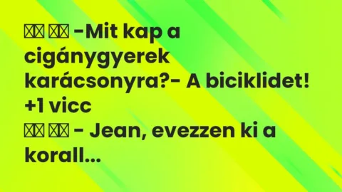 Vicc: 
		  
		  -Mit kap a cigánygyerek karácsonyra?- A…